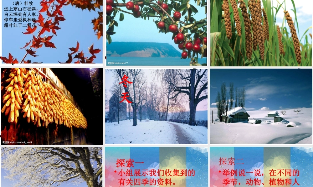 最新教科版科学二年级上册 6、不同的季节 （精品课件）.pptx