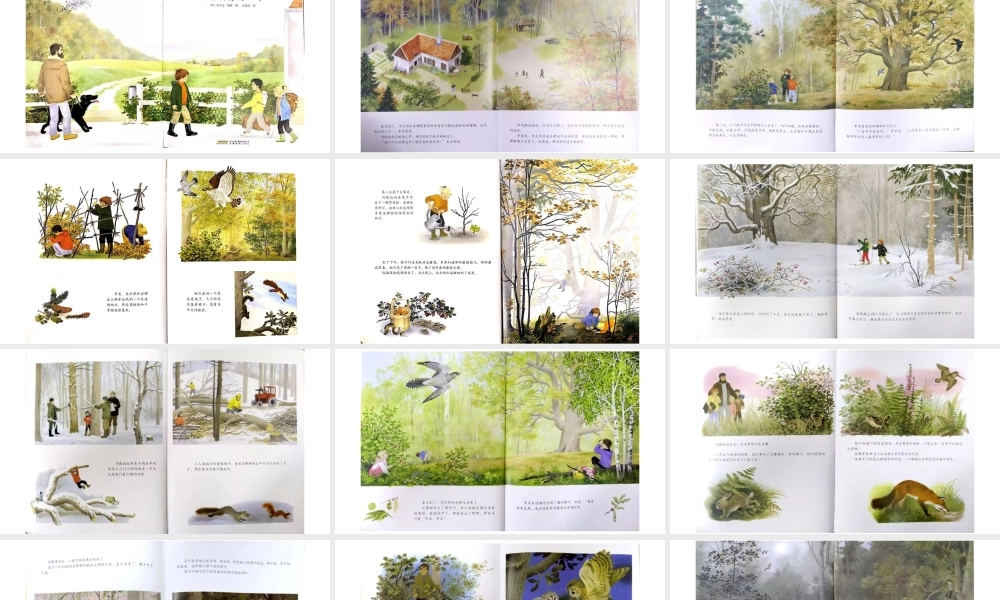 大橡树旁的一年 -- 印象工作站 淘宝店(1).pptx