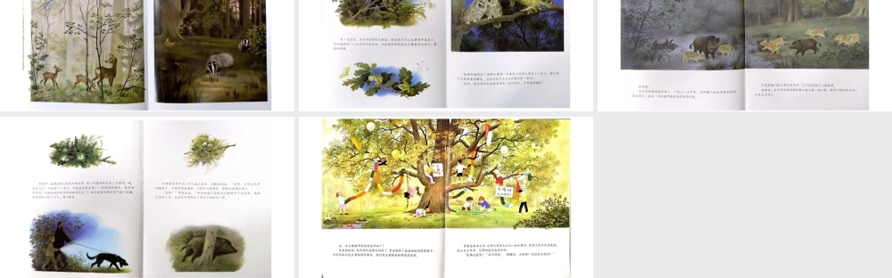 大橡树旁的一年 -- 印象工作站 淘宝店(1).pptx