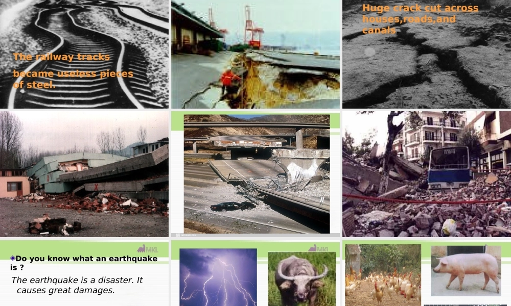 高一英语优质课件：Unit4 Earthquakes- Warming up and Reading1（新人教版必修1）.ppt