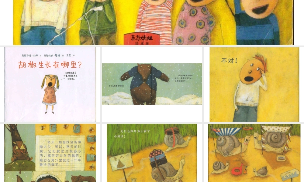 胡椒生长在哪里？ -印象工作站.ppt