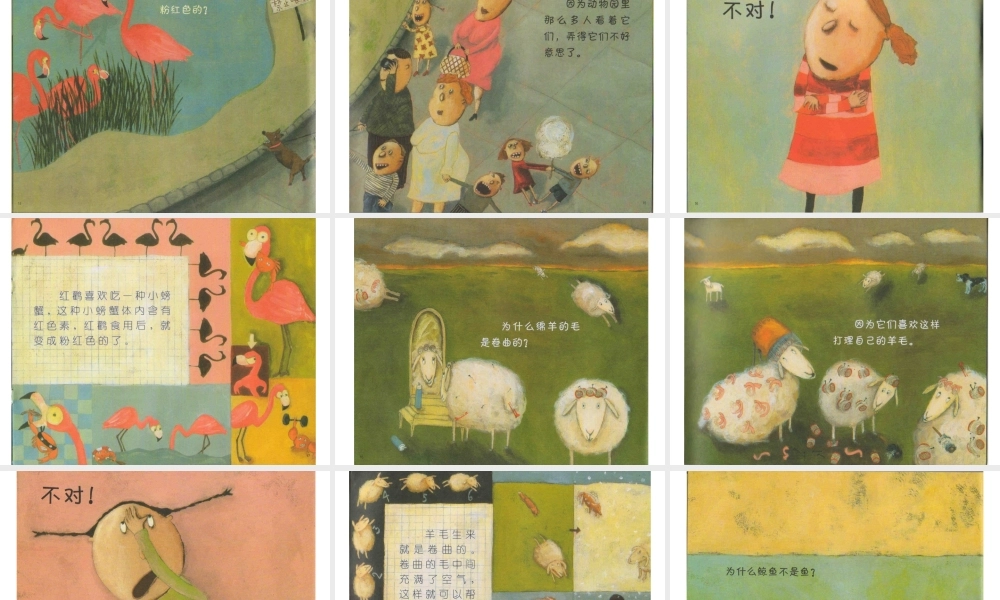 胡椒生长在哪里？ -印象工作站.ppt