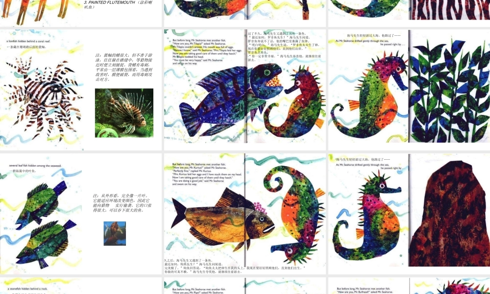绘本故事ppt-海马先生 -印象工作站.ppt