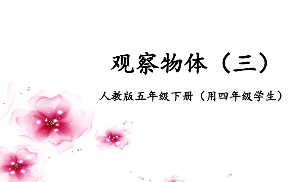 人教版五年级下册《观察物体#三#》.ppt
