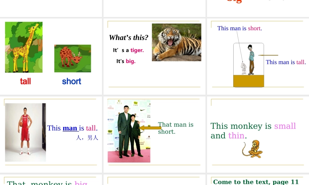 外研版（三起）三下Module 2《Unit 2 The man is short》ppt课件2(1).ppt