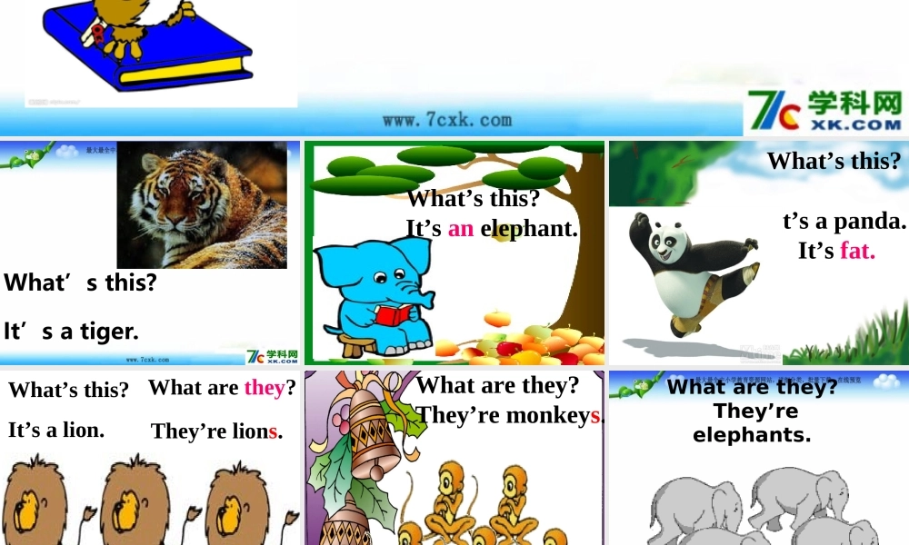 外研版（三起）三下Module 2《Unit 1 They are monkeys》ppt课件2(1).ppt