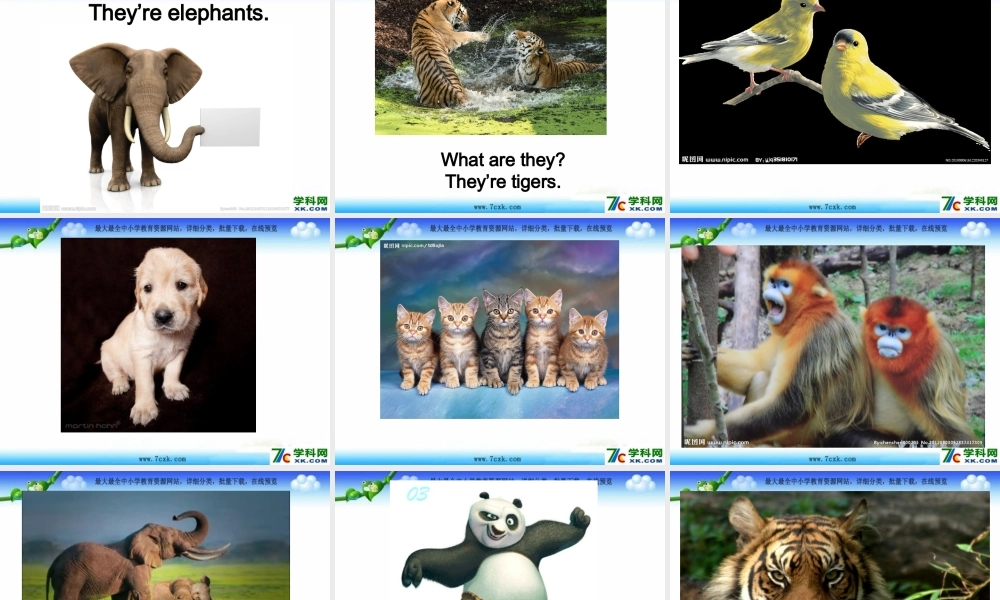 外研版（三起）三下Module 2《Unit 1 They are monkeys》ppt课件2(1).ppt