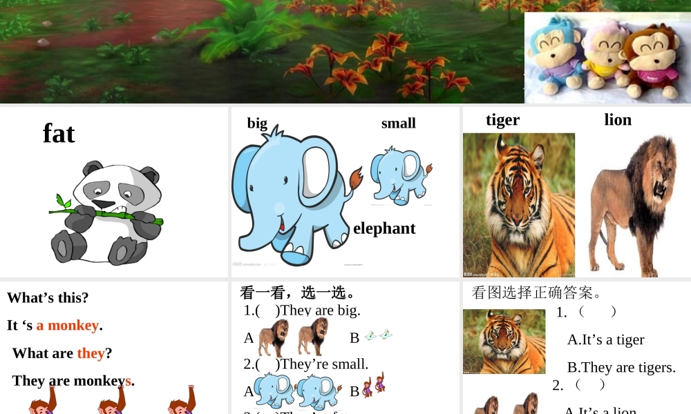外研版（三起）三下Module 2《Unit 1 They are monkeys》ppt课件3(1).ppt