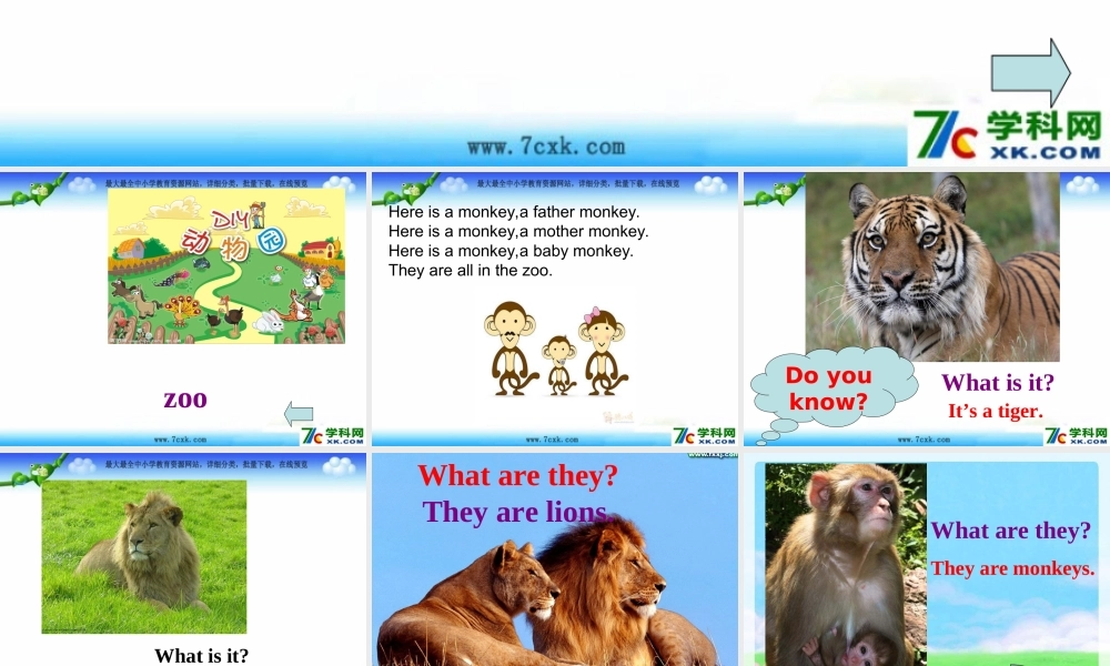 外研版（三起）三下Module 2《Unit 1 They are monkeys》ppt课件4(1).ppt