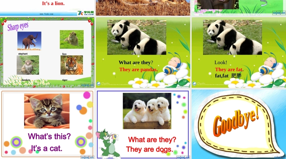 外研版（三起）三下Module 2《Unit 1 They are monkeys》ppt课件4(1).ppt