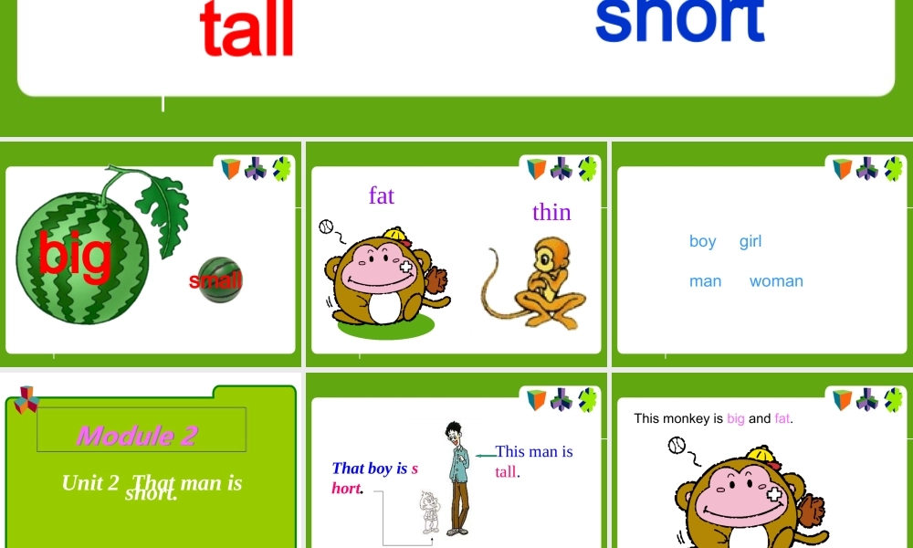 外研版（三起）三下Module 2《Unit 2 The man is short》ppt课件4(1).ppt