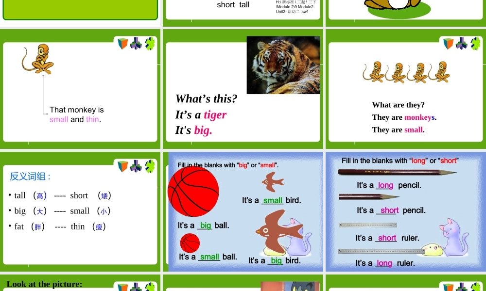 外研版（三起）三下Module 2《Unit 2 The man is short》ppt课件4(1).ppt