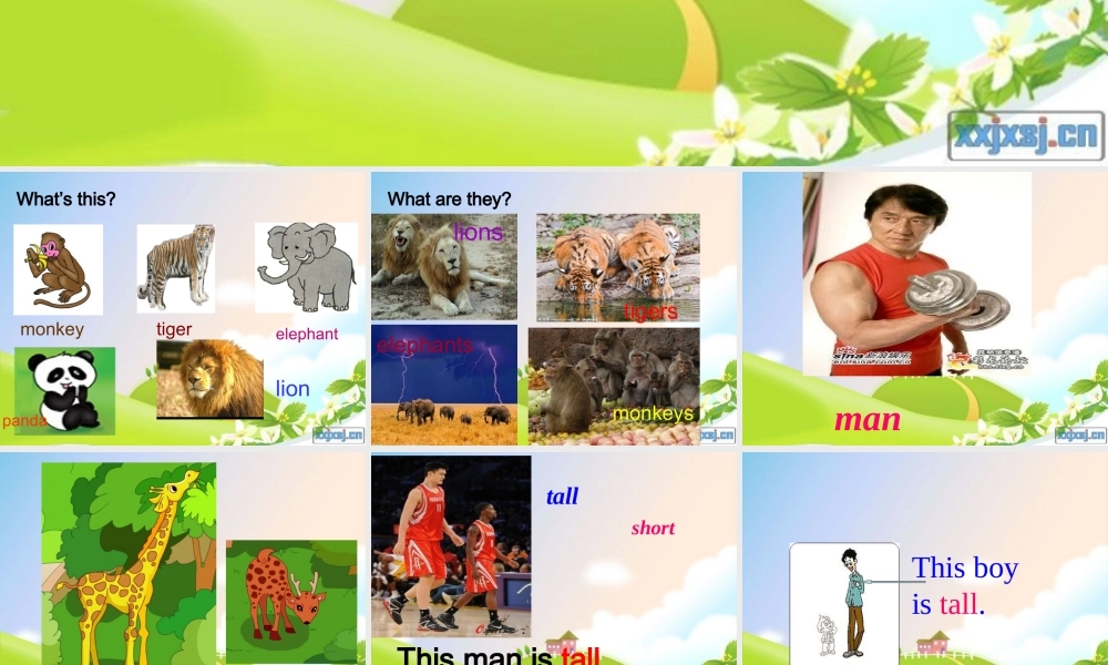 外研版（三起）三下Module 2《Unit 2 The man is short》ppt课件5(1).ppt