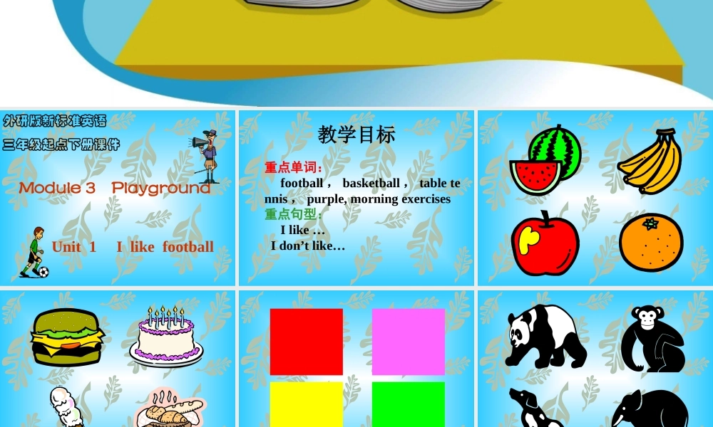 外研版（三起）三下Module 3《Unit 1 I like football》ppt课件1(1).ppt