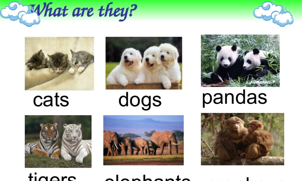 外研版（三起）三下Module 3《Unit 1 I like football》ppt课件3(1).ppt