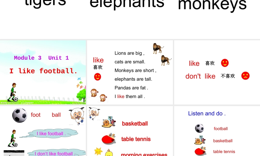 外研版（三起）三下Module 3《Unit 1 I like football》ppt课件3(1).ppt