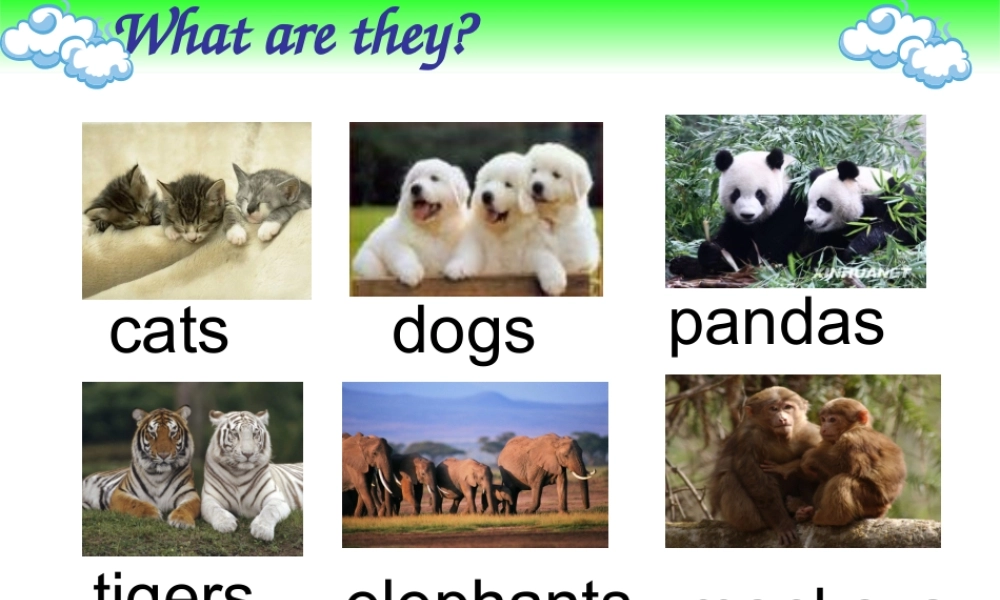 外研版（三起）三下Module 3《Unit 1 I like football》ppt课件4(1).ppt