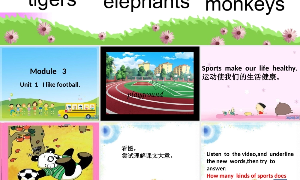 外研版（三起）三下Module 3《Unit 1 I like football》ppt课件4(1).ppt
