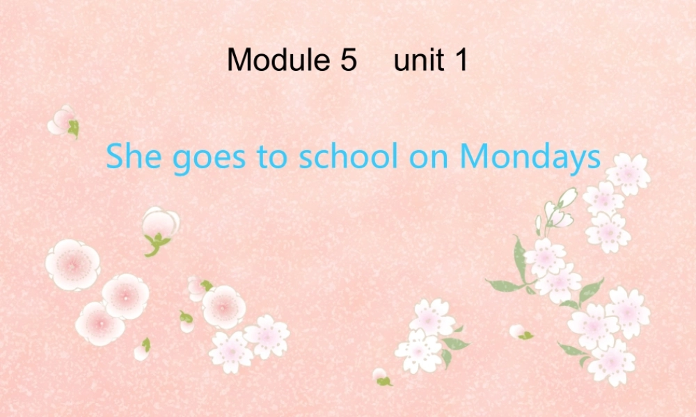外研版（三起）三下Module 5《Unit 1 She goes to school on Mondays》ppt课件3(1).ppt