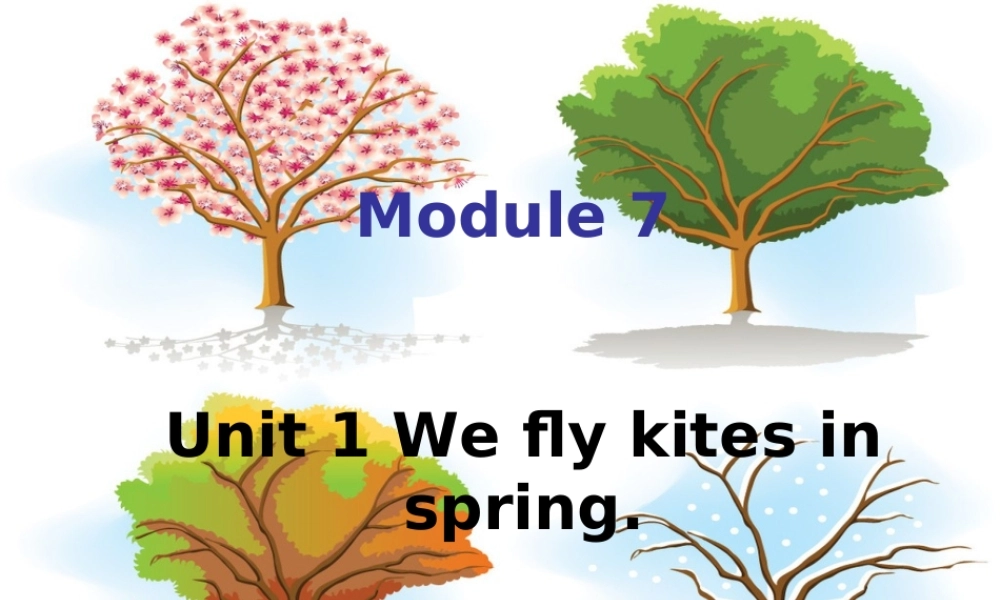 外研版（三起）三下Module 7《Unit 1 We fly kites in spring》ppt课件2(1).ppt