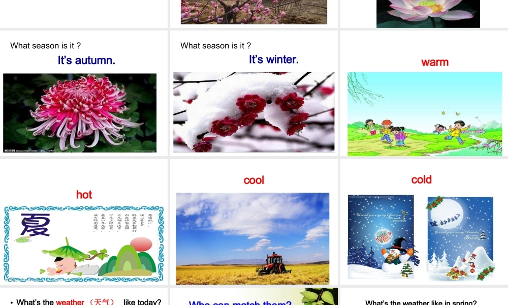外研版（三起）三下Module 7《Unit 1 We fly kites in spring》ppt课件4(1).ppt