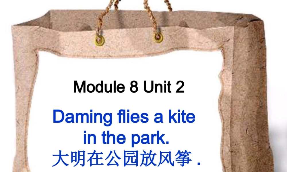 外研版（三起）三下Module 8《Unit 2 Daming flies a kite in the park》ppt课件4(1).ppt