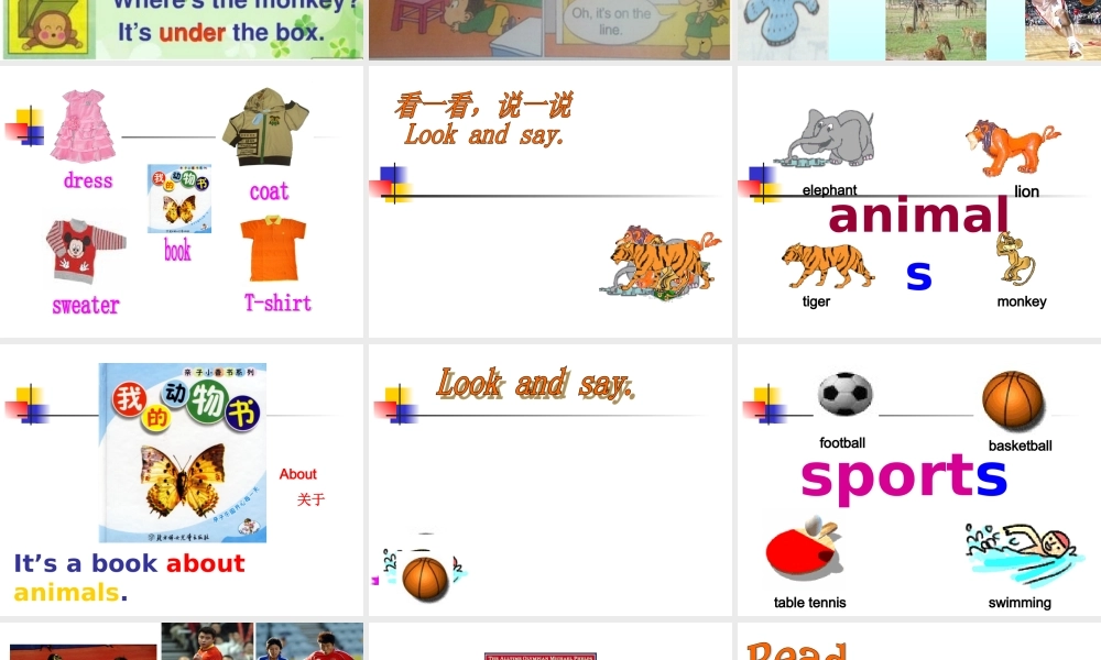 外研版（三起）三下Module 9《Unit 1 I’ve got a new book》ppt课件3(1).ppt