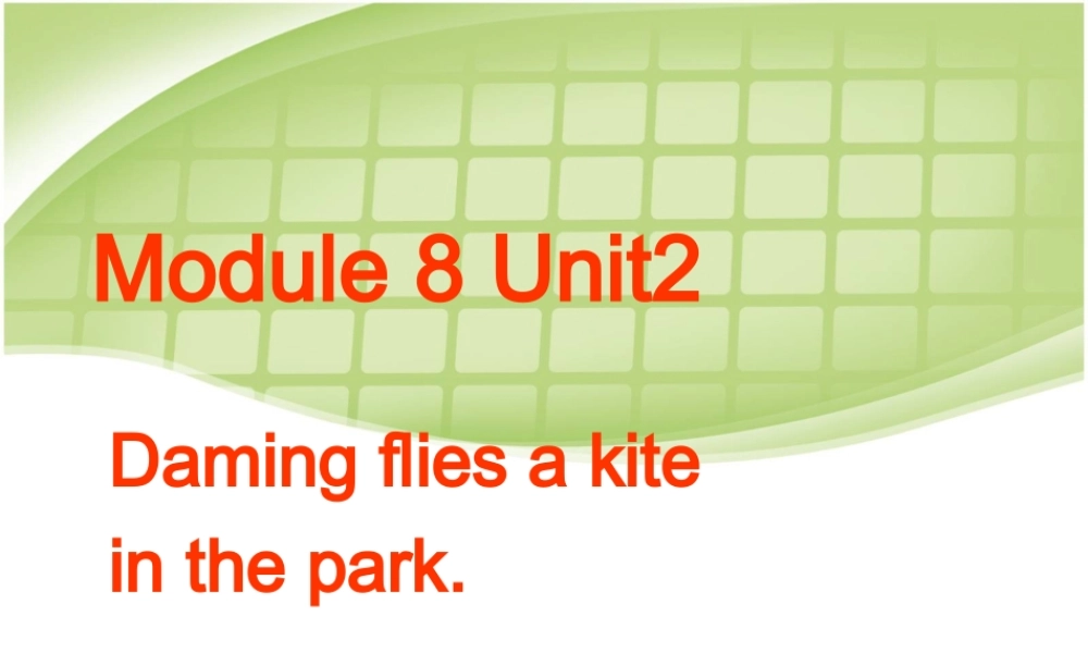 外研版（三起）三下Module 8《Unit 2 Daming flies a kite in the park》ppt课件2(1).ppt
