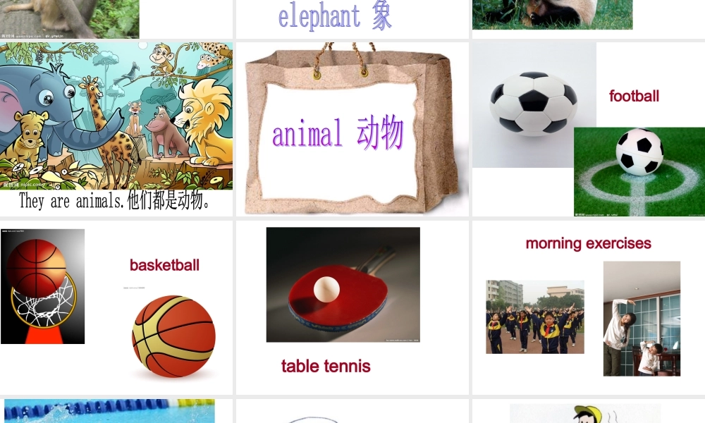 外研版（三起）三下Module 9《Unit 1 I’ve got a new book》ppt课件5(1).ppt