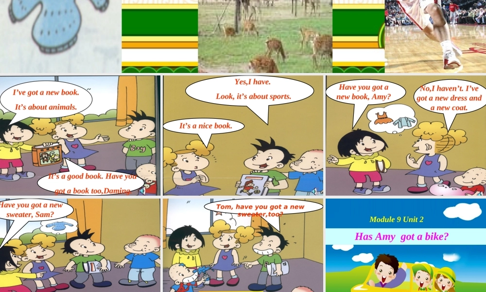 外研版（三起）三下Module 9《Unit 2 Has Amy got a bike》ppt课件1(1).ppt