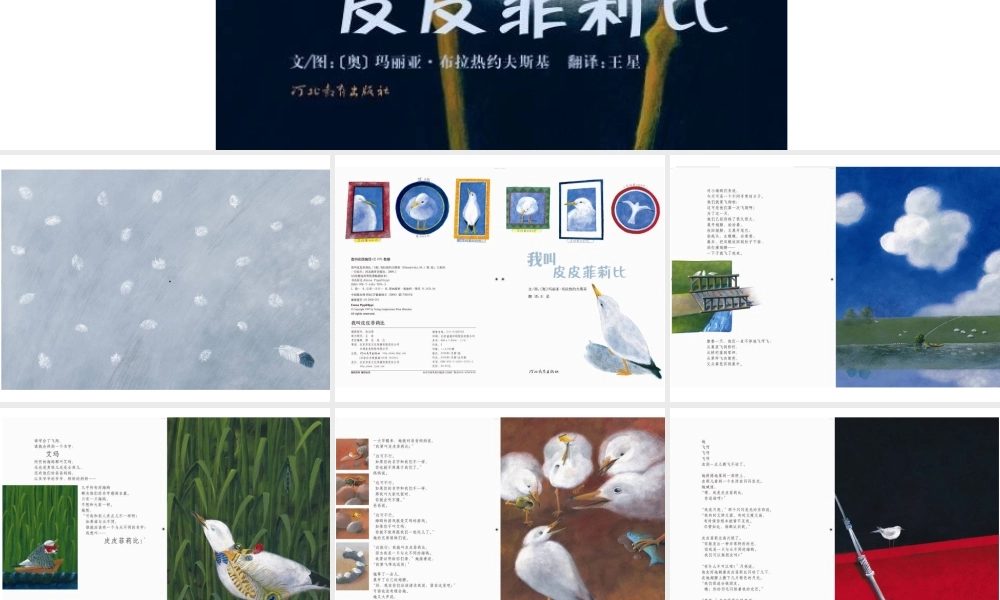 我叫皮皮菲莉比 -印象工作站.ppt