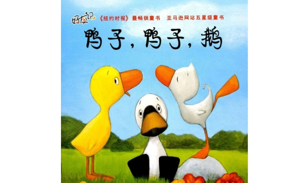 鸭子鸭子鹅 .ppt