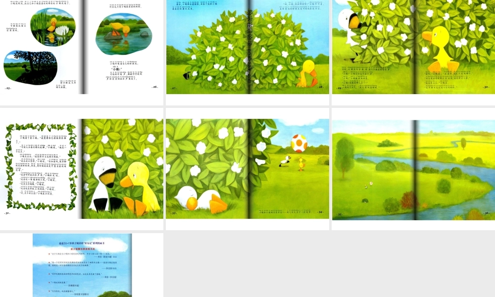 鸭子鸭子鹅 .ppt