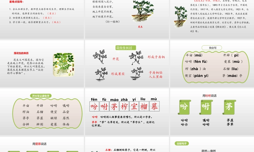 五年级上册语文课件-2《落花生》课时1（部编版） (共22张PPT).pptx