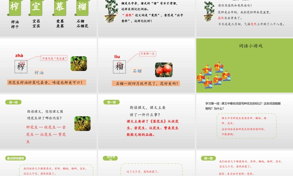 五年级上册语文课件-2《落花生》课时1（部编版） (共22张PPT).pptx