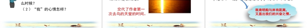 五年级上册语文课件-23 鸟的天堂（部编版） (共53张PPT).pptx