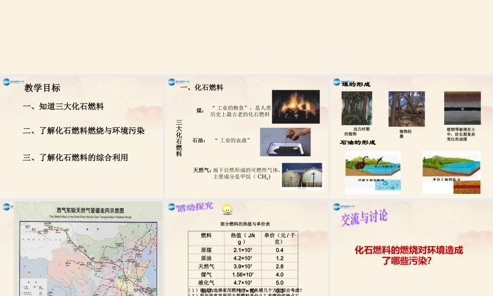 【倍速课时学练】九年级化学上册 第4章 第三节 化石燃料的利用课件 沪教版.ppt