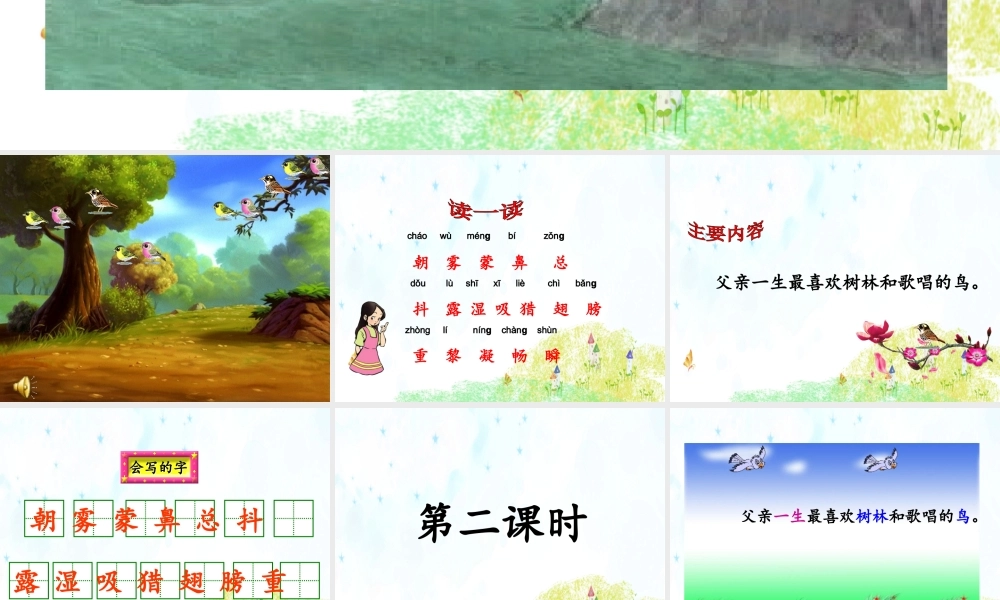 22 父亲、树林和鸟.ppt