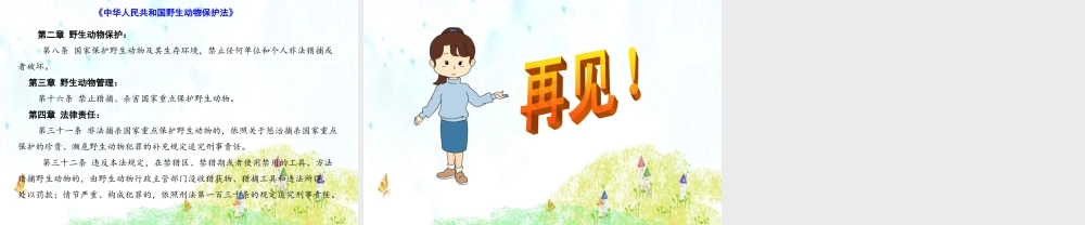 22 父亲、树林和鸟.ppt