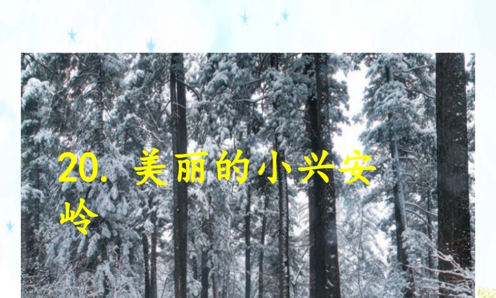 20.美丽的小兴安岭.ppt