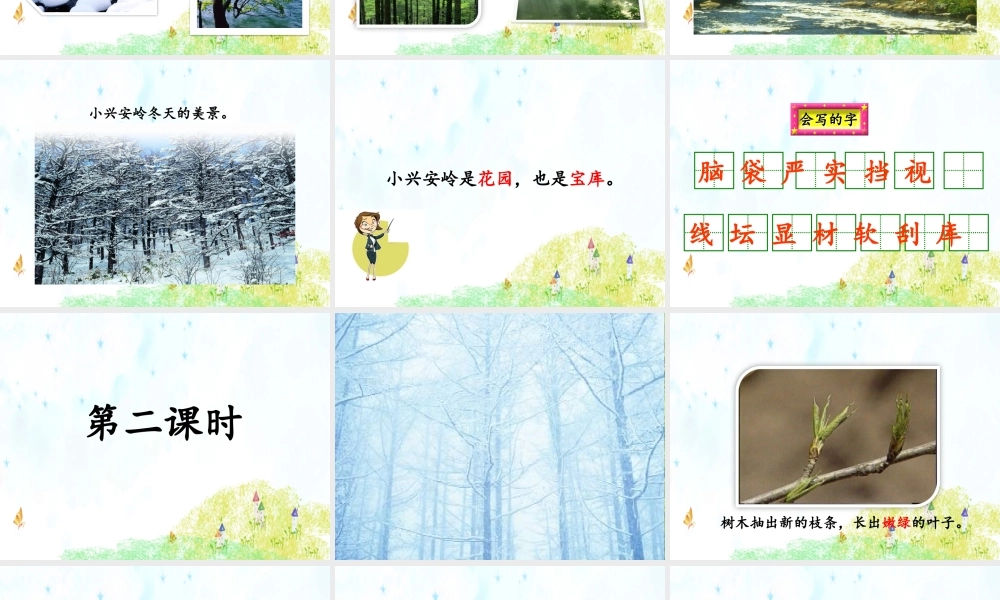 20.美丽的小兴安岭.ppt