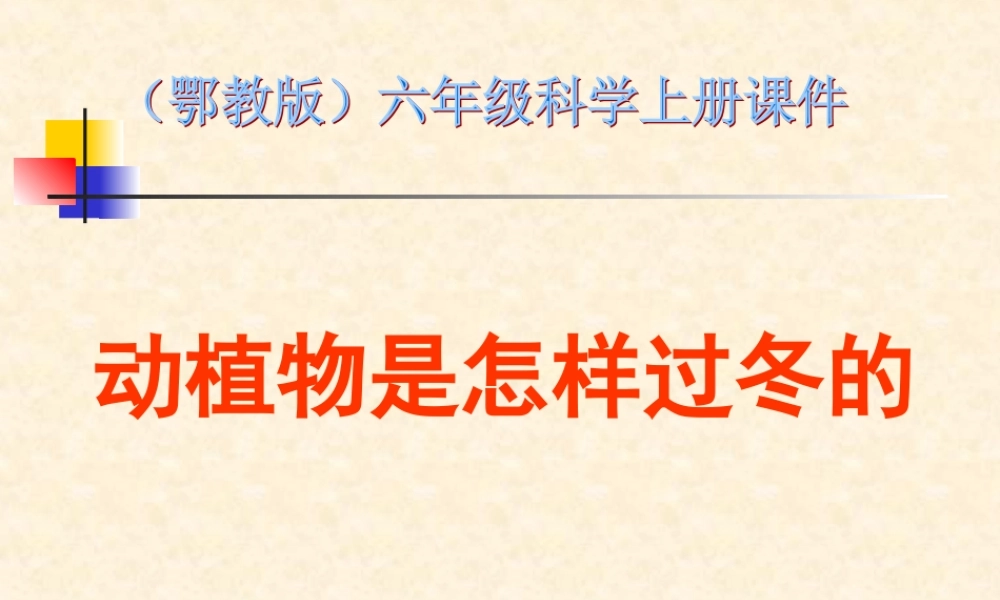 鄂教版小学科学六上《20动植物是怎样过冬的》PPT课件.ppt
