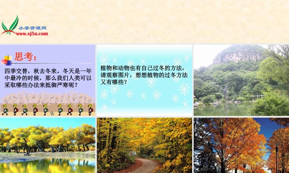 鄂教版小学科学六上《20动植物是怎样过冬的》PPT课件.ppt