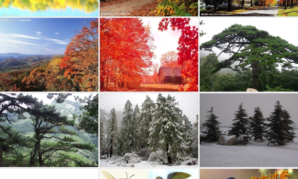 鄂教版小学科学六上《20动植物是怎样过冬的》PPT课件.ppt