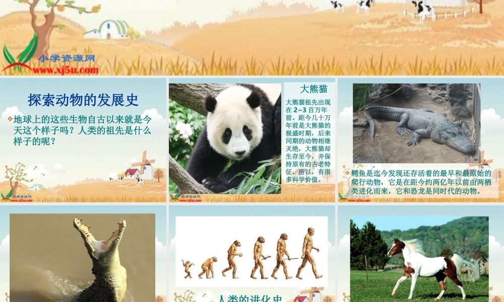 鄂教版小学科学六下《2.探索动物的发展史》PPT课件[加微信jiaoxue5you九折优惠].ppt
