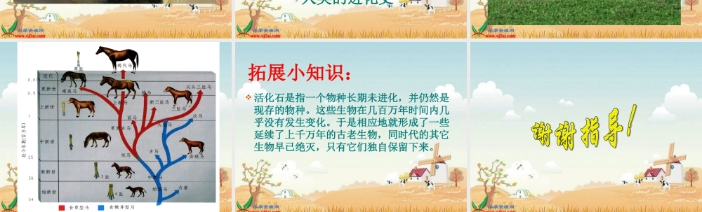 鄂教版小学科学六下《2.探索动物的发展史》PPT课件[加微信jiaoxue5you九折优惠].ppt