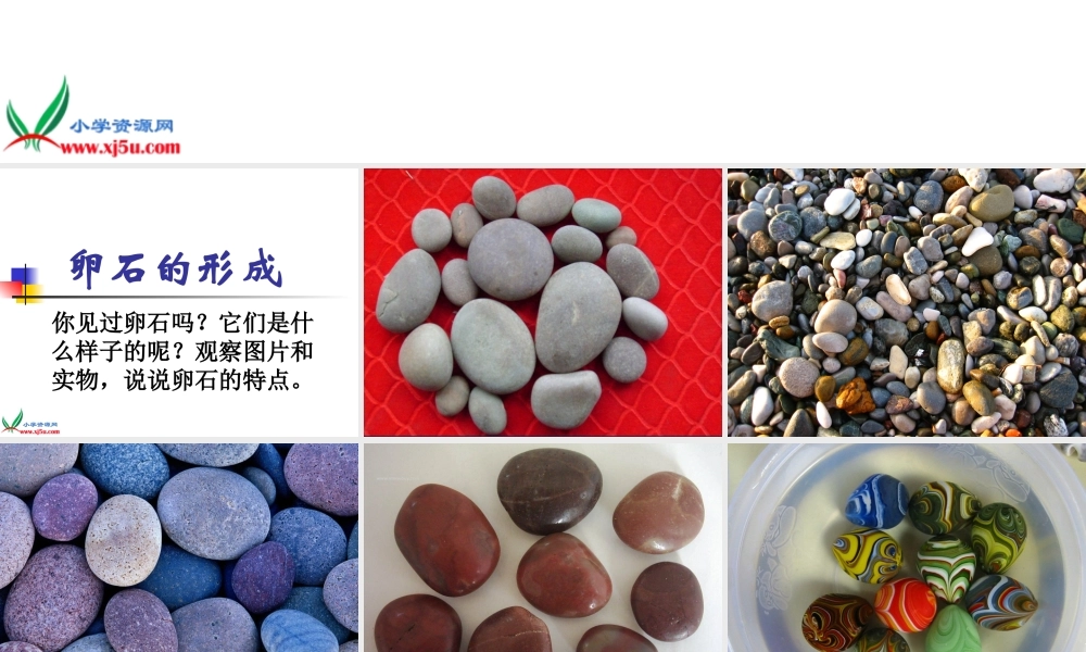 鄂教版小学科学六上《10卵石的形成》PPT课件.ppt