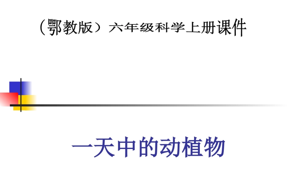 鄂教版小学科学六上《9一天中的动植物》PPT课件 (1).ppt