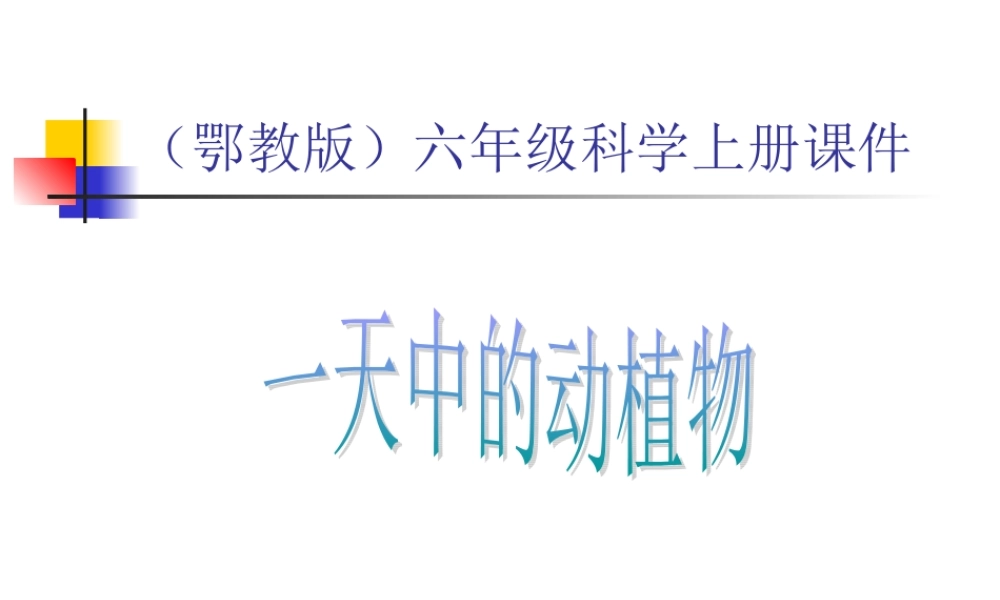 鄂教版小学科学六上《9一天中的动植物》PPT课件 (2).ppt