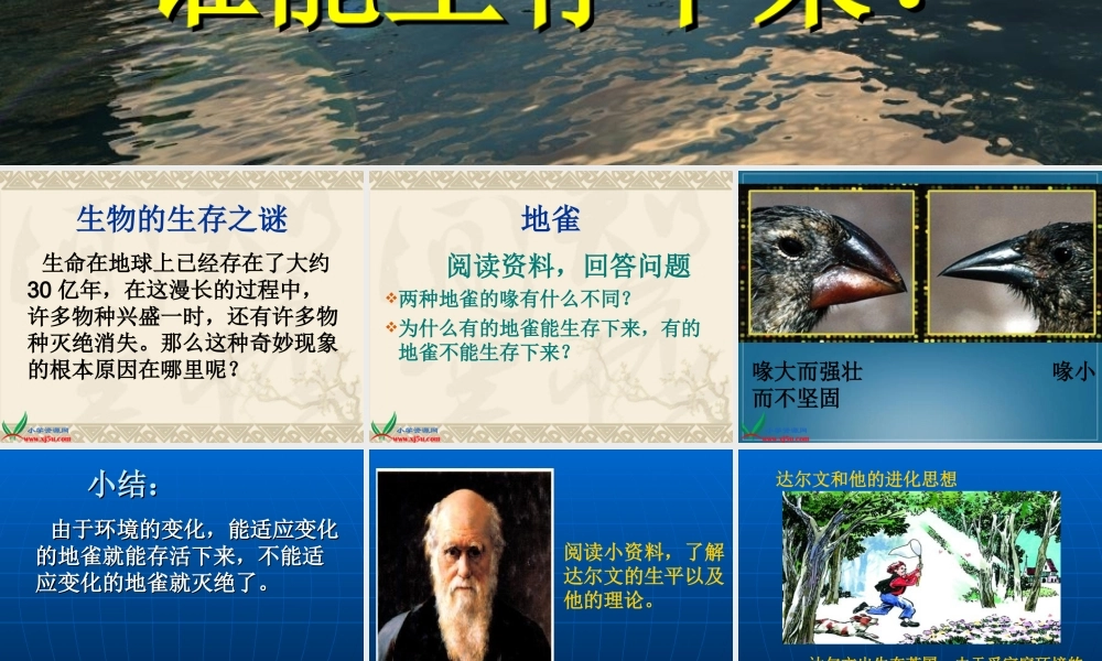 鄂教版小学科学六下《3.谁能生存下来》PPT课件[加微信jiaoxue5you九折优惠].ppt